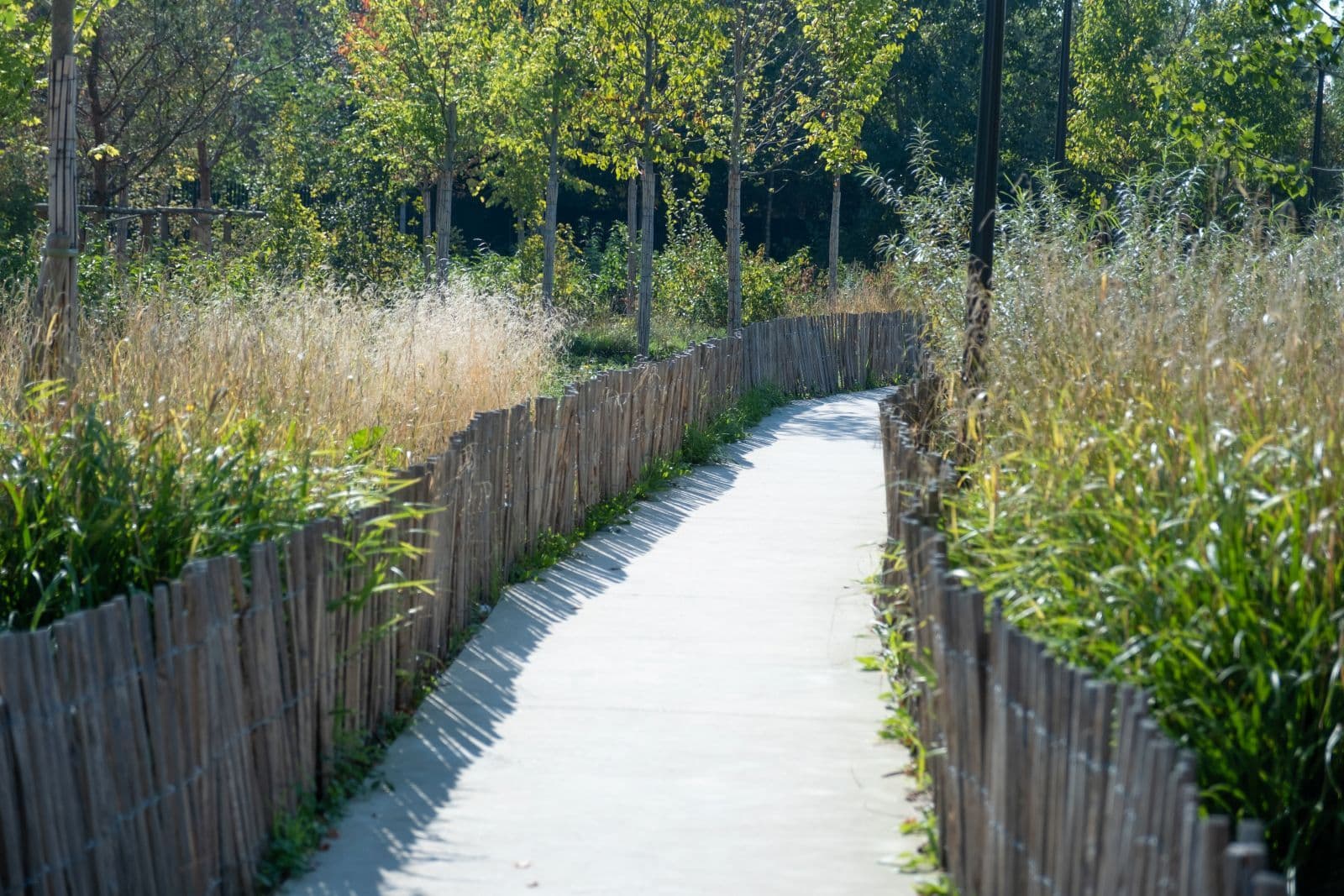 Renaturation urbaine, désartificialiser pour mieux valoriser son patrimoine