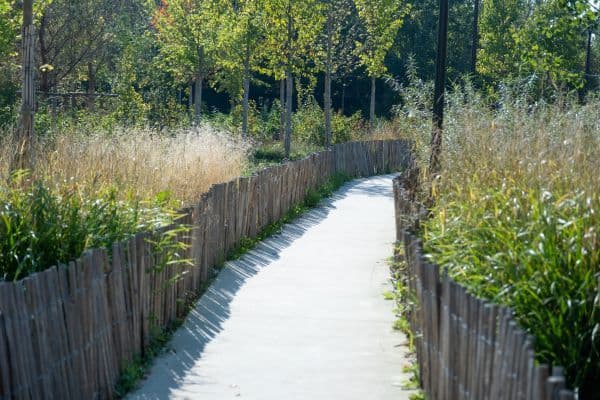 Renaturation dans un parc d'affaires